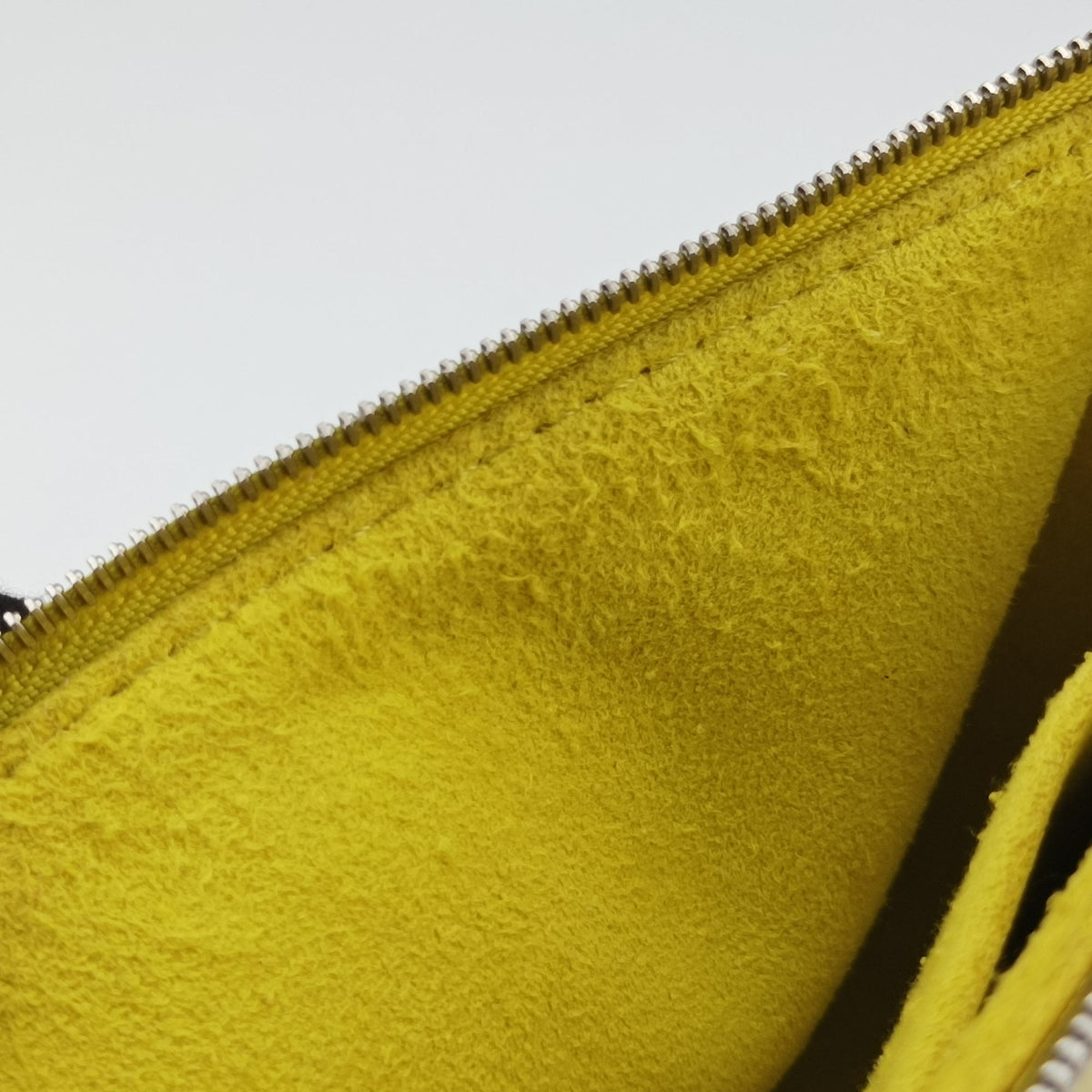 Pochette Accessoires Pistache Epi M40975 TR3113ポシェット アクセソワール ピスタッシュ エピ M40975 TR3113