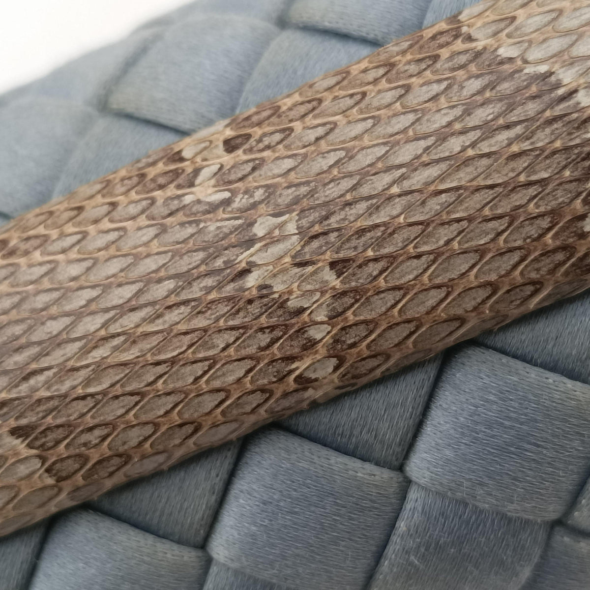 Knot Intrecciato Blue Satin×Python IC Chipノット イントレチャート ブルー サテン×パイソン ICチップ