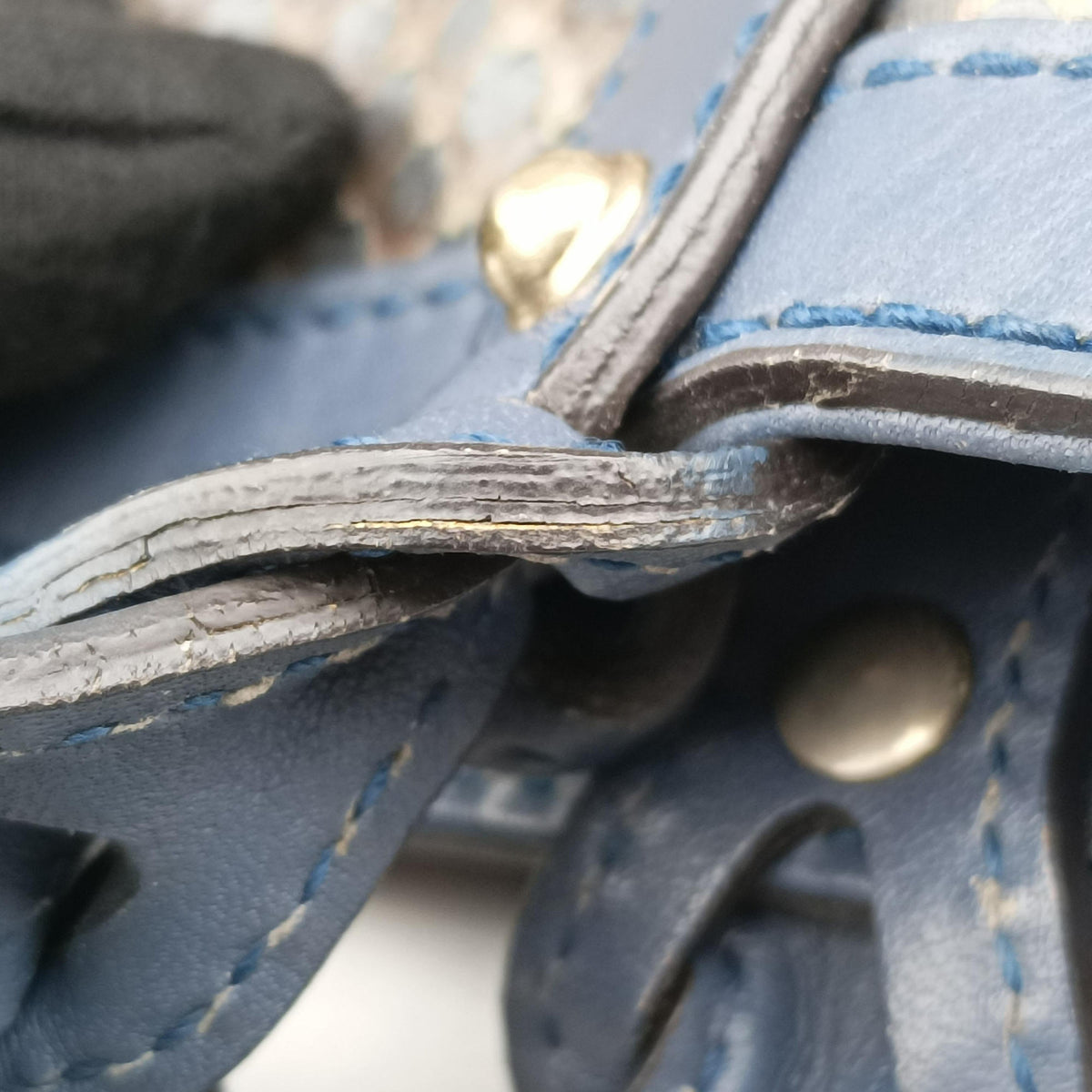 Craft Blue snakeskin 247209 C9941751クラフト ブルー ヘビ革 247209 C9941751