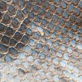 Craft Blue snakeskin 247209 C9941751クラフト ブルー ヘビ革 247209 C9941751