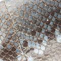 Craft Blue snakeskin 247209 C9941751クラフト ブルー ヘビ革 247209 C9941751