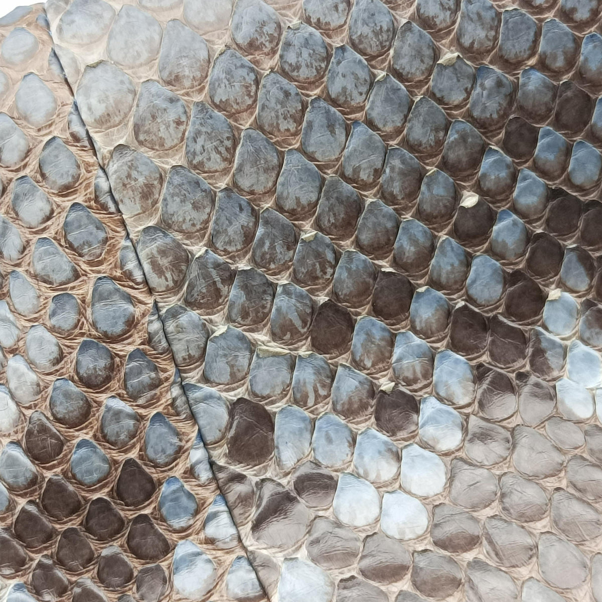 Craft Blue snakeskin 247209 C9941751クラフト ブルー ヘビ革 247209 C9941751