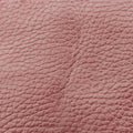 Dionysus Burgundy Leather 421970 G029422379ディオニュソス ワインレッド レザー 421970 G029422379
