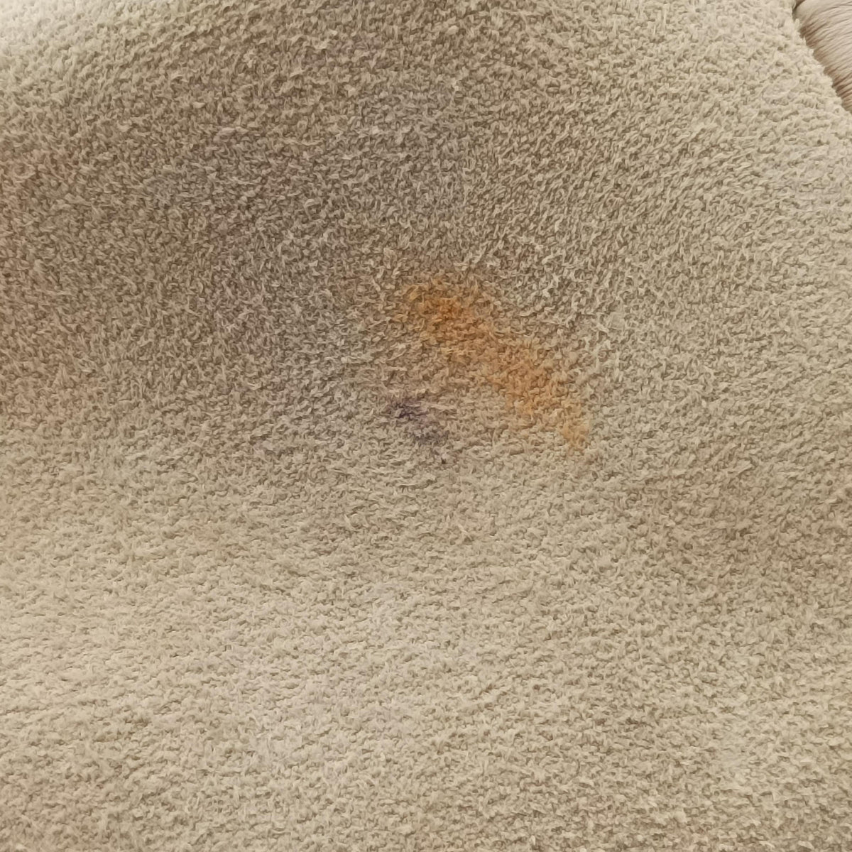 Mony Beige Suede 03 22 101 65モニー ベージュ スエード 03 22 101 65