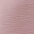 NeoNoeRose ValerineEpiM54370SR4128ネオノエローズバレリーヌエピM54370SR4128
