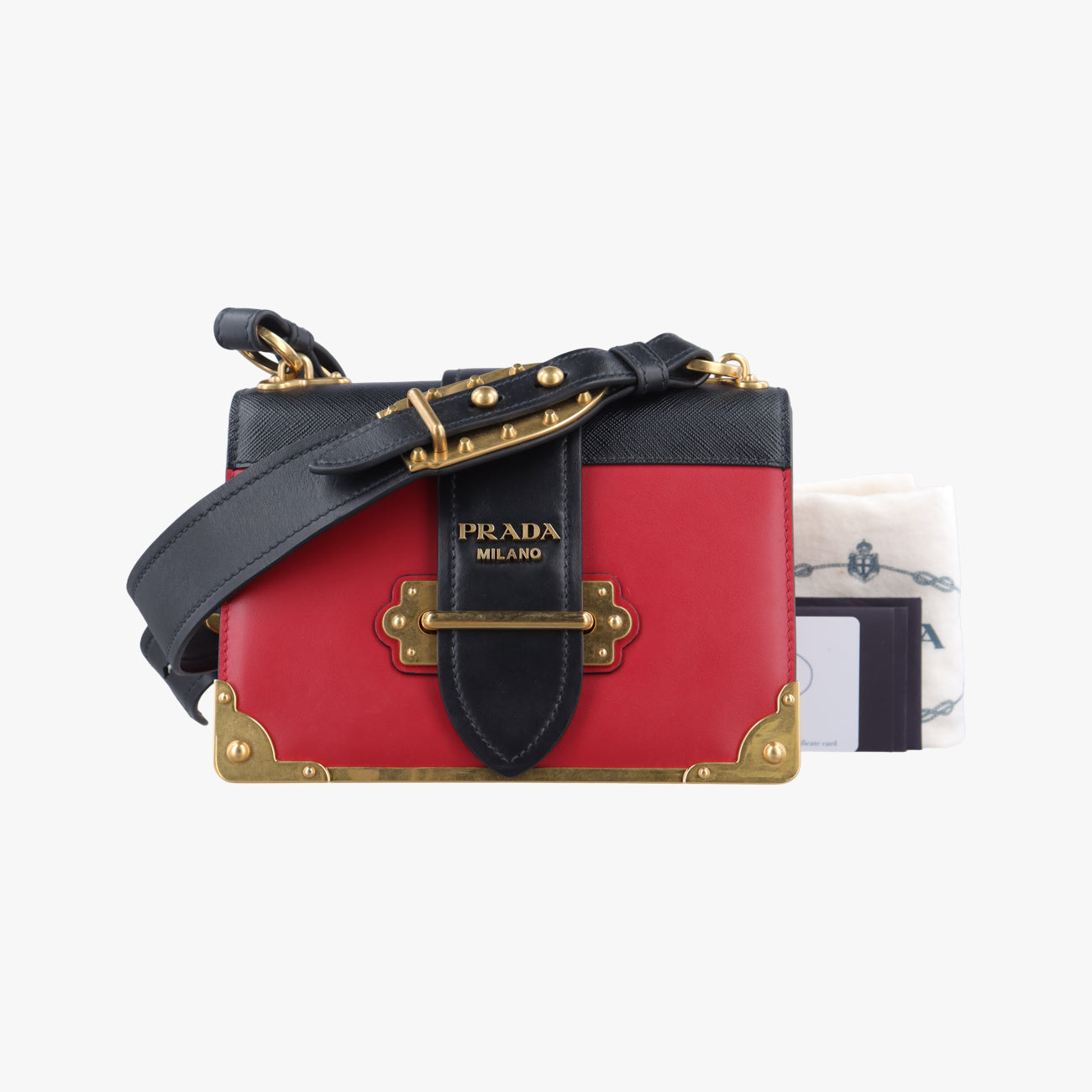 CahierMulticolourLeather1BD04525 Cカイエマルチカラーレザー1BD04525 C