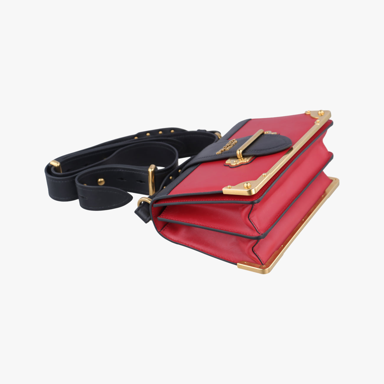 CahierMulticolourLeather1BD04525 Cカイエマルチカラーレザー1BD04525 C