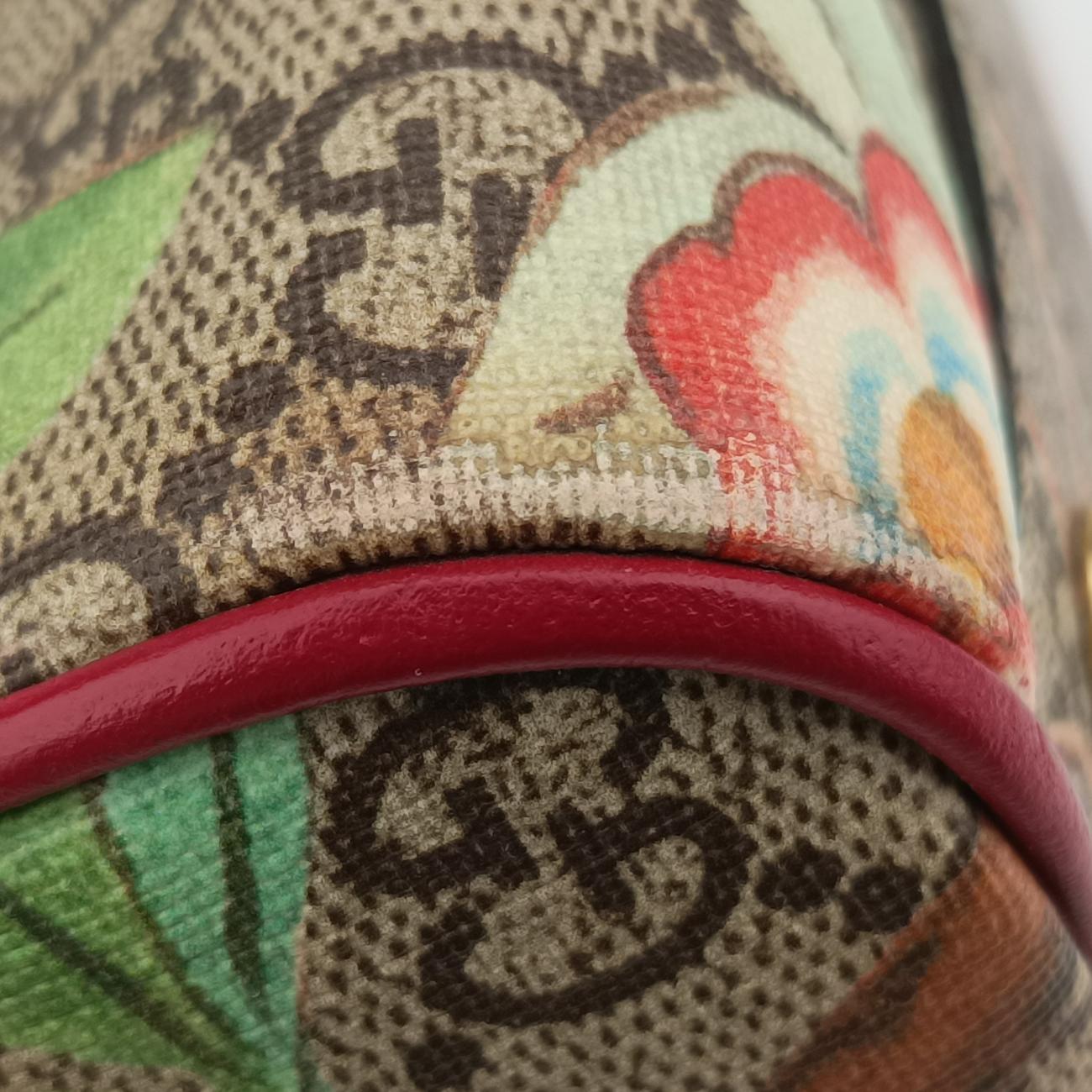 GG TianMulticolourPVC coated canvas409529C020852221グッチティアンマルチカラーPVCコーティングキャンバス409529C020852221
