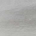 COLLEGEGreyLeather392738TCT392738.0416カレッジグレーレザー392738TCT392738.0416