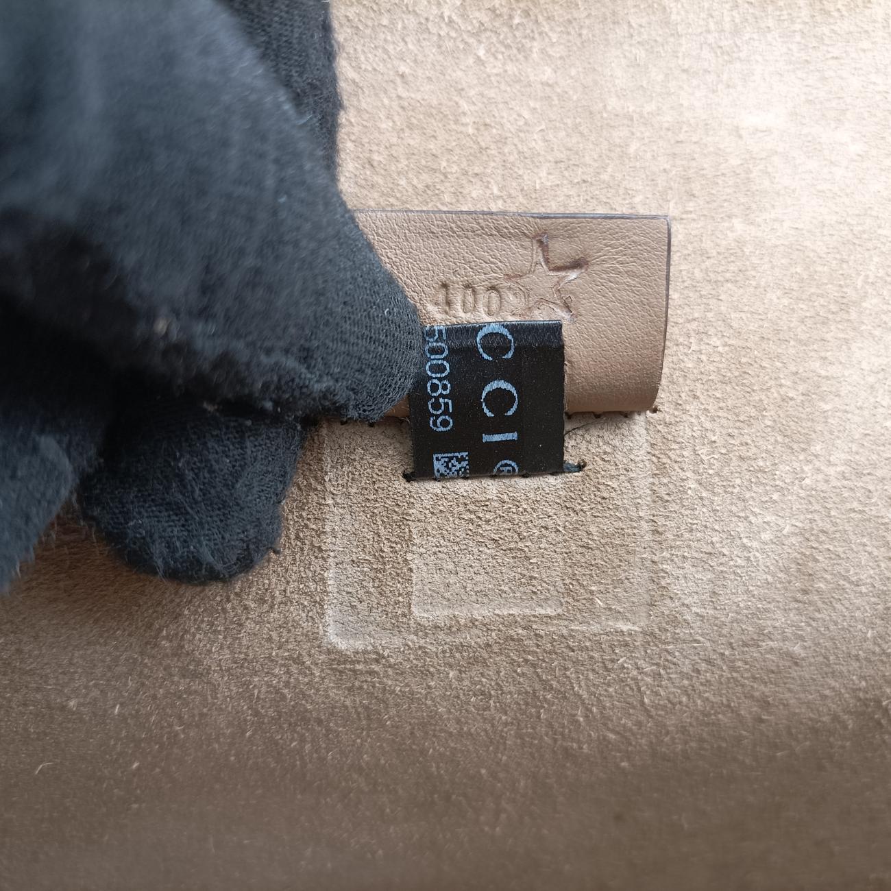 DionysusMulticolourPVC coated canvas400249E022500859ディオニュソスマルチカラーPVCコーティングキャンバス400249E022500859
