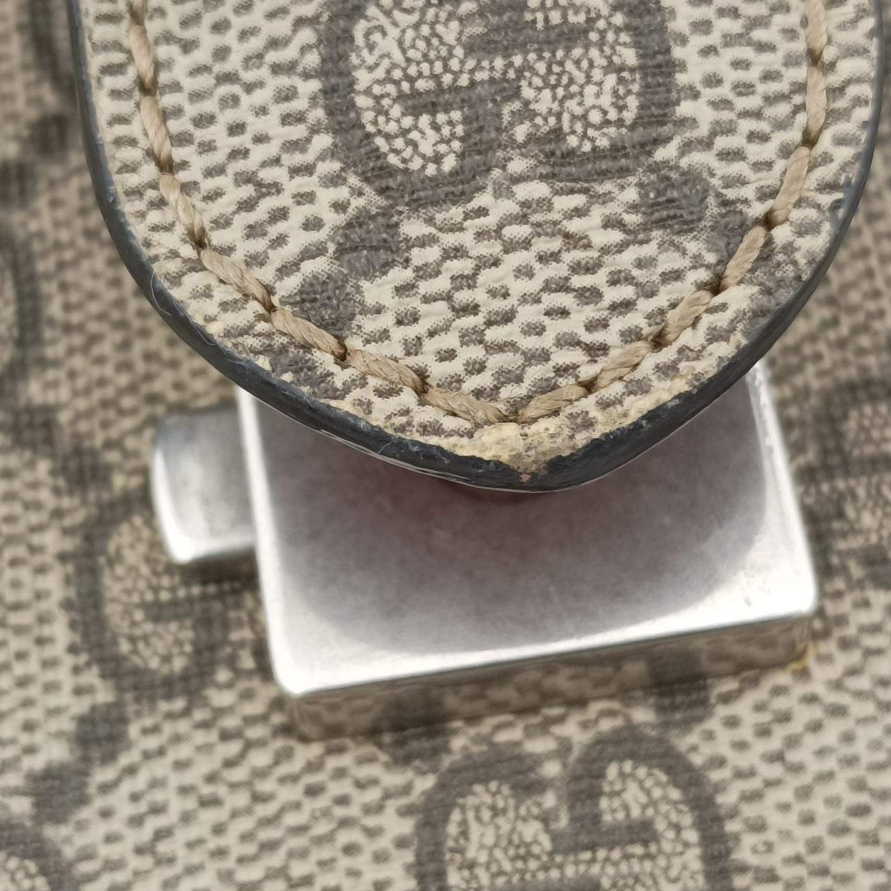 DionysusBrownPVC coated canvas421970F026105544ディオニュソスブラウンPVCコーティングキャンバス421970F026105544