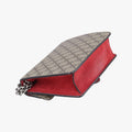 DionysusBrownPVC coated canvas421970F026105544ディオニュソスブラウンPVCコーティングキャンバス421970F026105544