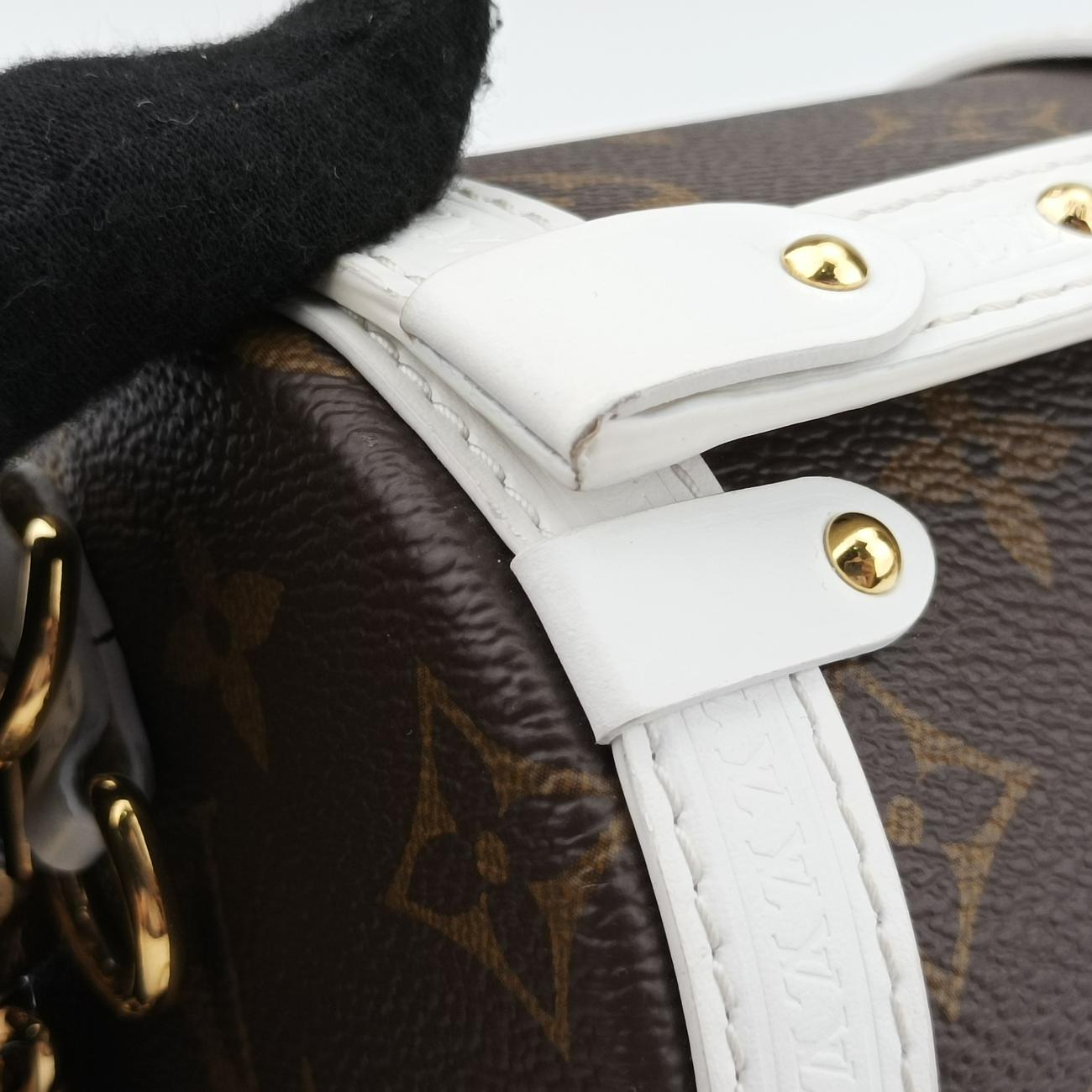Papillon TrunkBrown×whiteMonogram Canvas×calf leatherM81485ICチップパピヨン トランクモノグラム/ブラウン系×ホワイトモノグラムキャンバス×カーフレザーM81485ICチップ