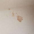 Brea MMBroncorailVernisM91456VI4171ブレアMMブロンコライユヴェルニM91456VI4171