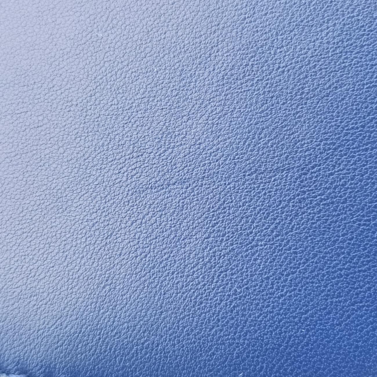 Cannage Dior Soft ShoppingBluelambskin04-RU-0152ディオールソフトブルーラムスキン04-RU-0152