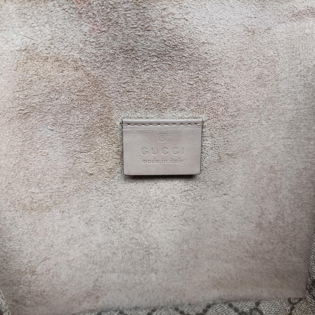 DionysusBrownPVC coated canvas421970B026209073ディオニュソスブラウンPVCコーティングキャンバス421970B026209073