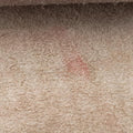DionysusBrownPVC coated canvas421970B026209073ディオニュソスブラウンPVCコーティングキャンバス421970B026209073