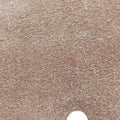 DionysusBrownPVC coated canvas421970B026209073ディオニュソスブラウンPVCコーティングキャンバス421970B026209073