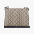 DionysusBrownPVC coated canvas421970B026209073ディオニュソスブラウンPVCコーティングキャンバス421970B026209073