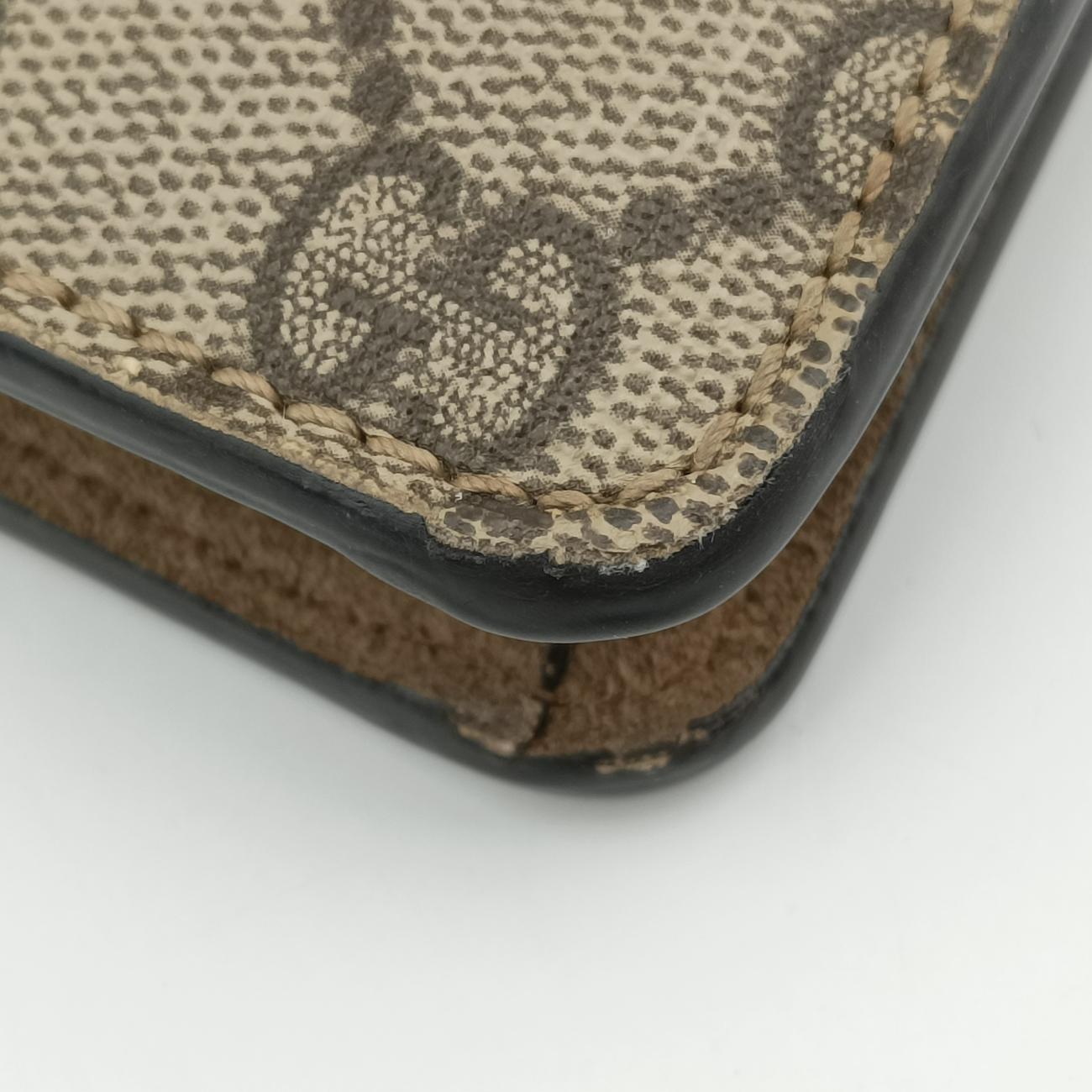 DionysusBrownPVC coated canvas421970B026209073ディオニュソスブラウンPVCコーティングキャンバス421970B026209073
