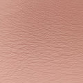 DiorissimoPink ×orangeLeather09-MA-1123ディオリッシモピンク×オレンジレザー09-MA-1123