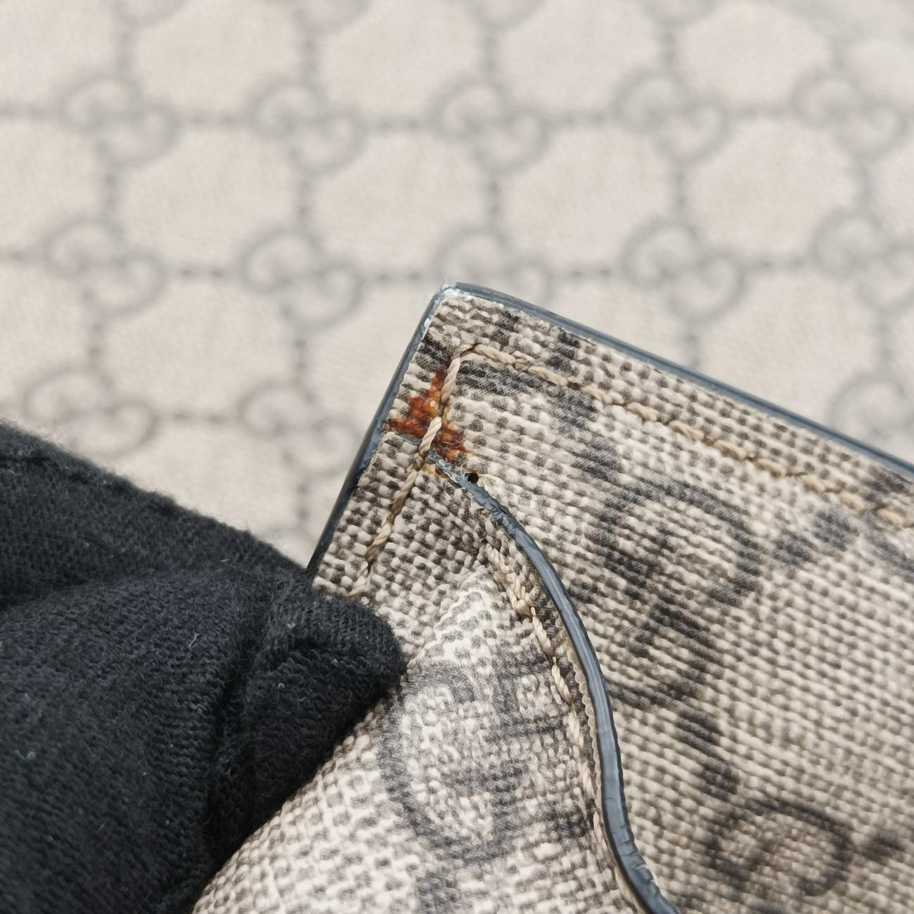 GG Plus GG SupremeBrownPVC coated canvas456217E021530350GGプラス GGスプリームブラウンPVCコーティングキャンバス456217E021530350