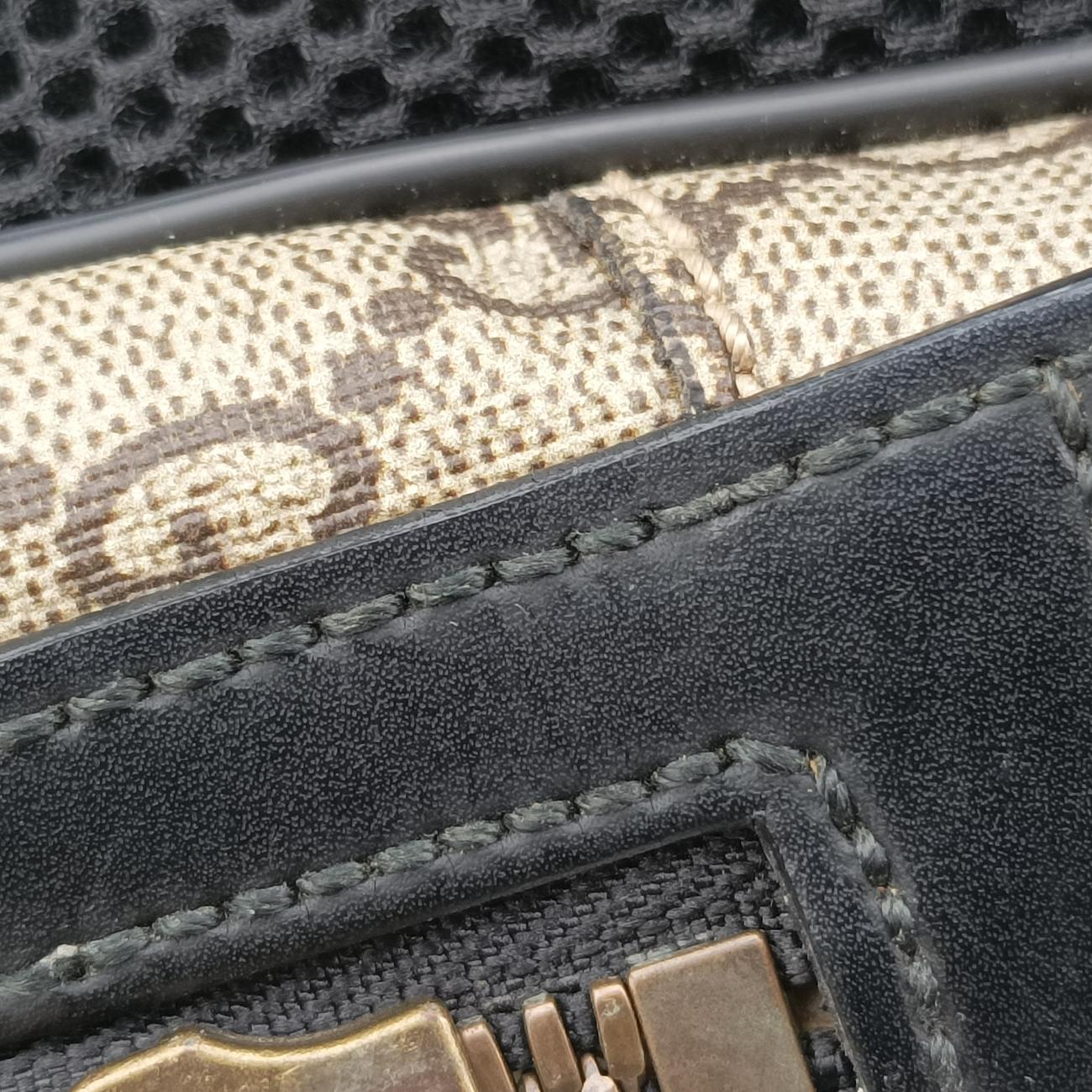 Kingsnake PrintBrownPVC coated canvas419584A023294469キングスネークプリントブラウンPVCコーティングキャンバス419584A023294469