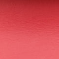 GG BloomsMulticolourPVC coated canvas546368GGブルームスマルチカラーPVCコーティングキャンバス546368