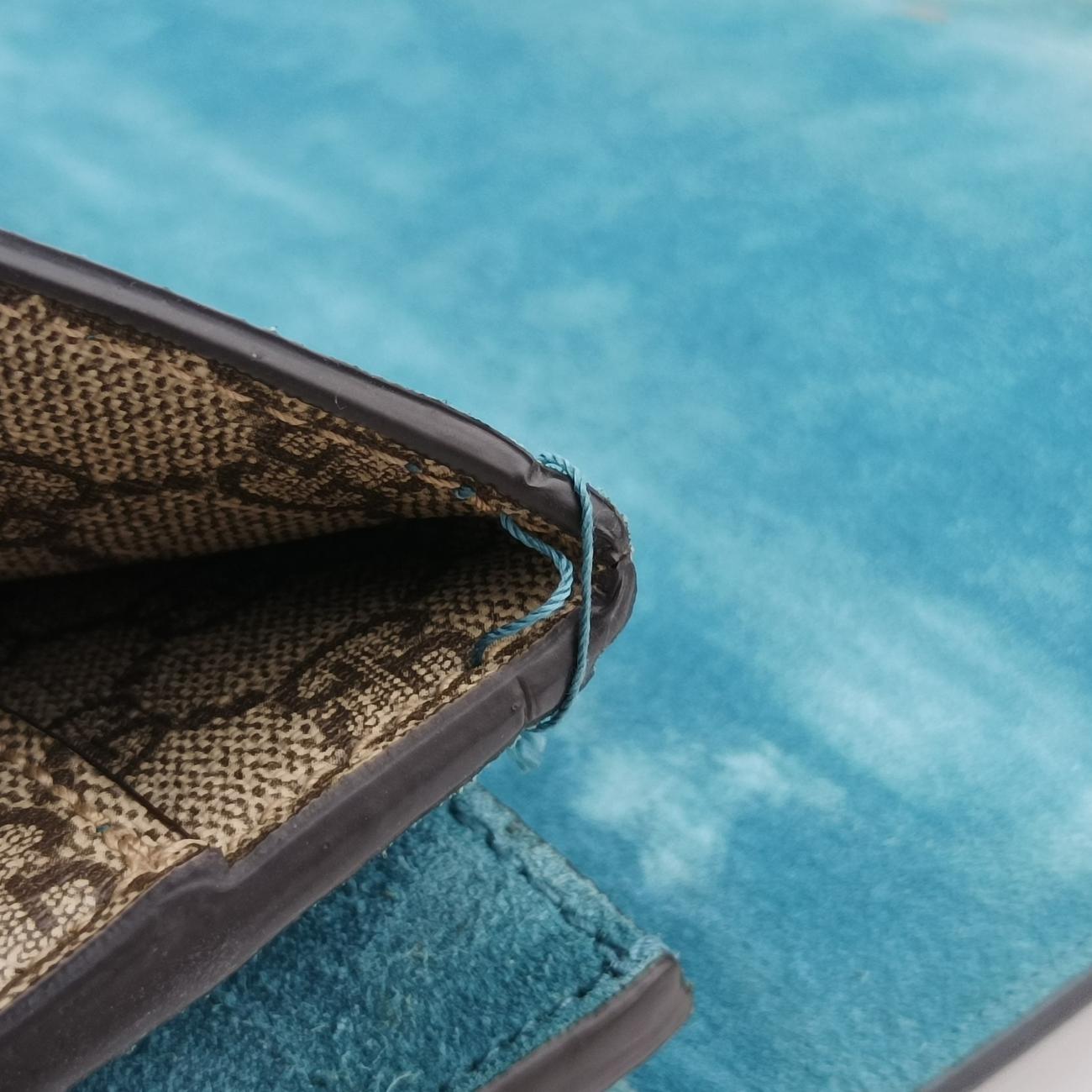 DionysusMulticolourPVC coated canvas403348H022589650ディオニュソスマルチカラーPVCコーティングキャンバス403348H022589650