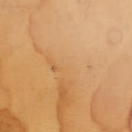 Petit NOewhiteMonogram MulticolorM42229CA0072プチ ノエブロンモノグラム マルチカラーM42229CA0072