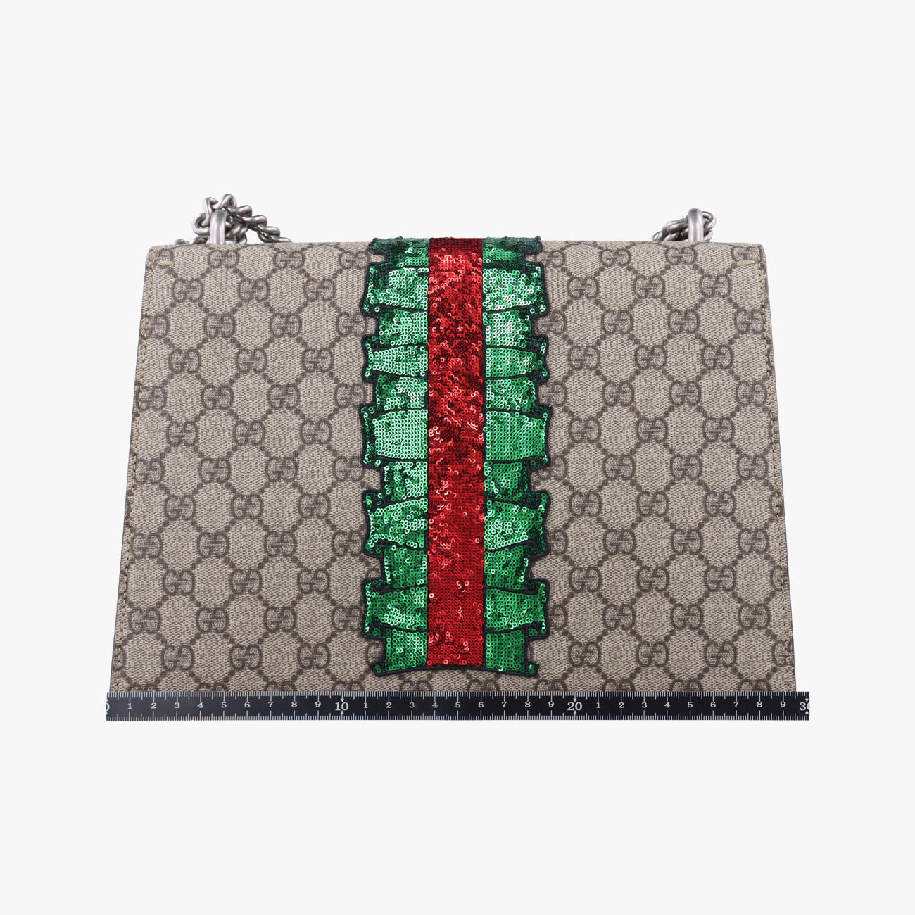 DionysusMulticolourPVC coated canvas400235H020523261ディオニュソスマルチカラーPVCコーティングキャンバス400235H020523261