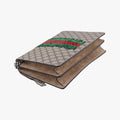DionysusMulticolourPVC coated canvas400235H020523261ディオニュソスマルチカラーPVCコーティングキャンバス400235H020523261