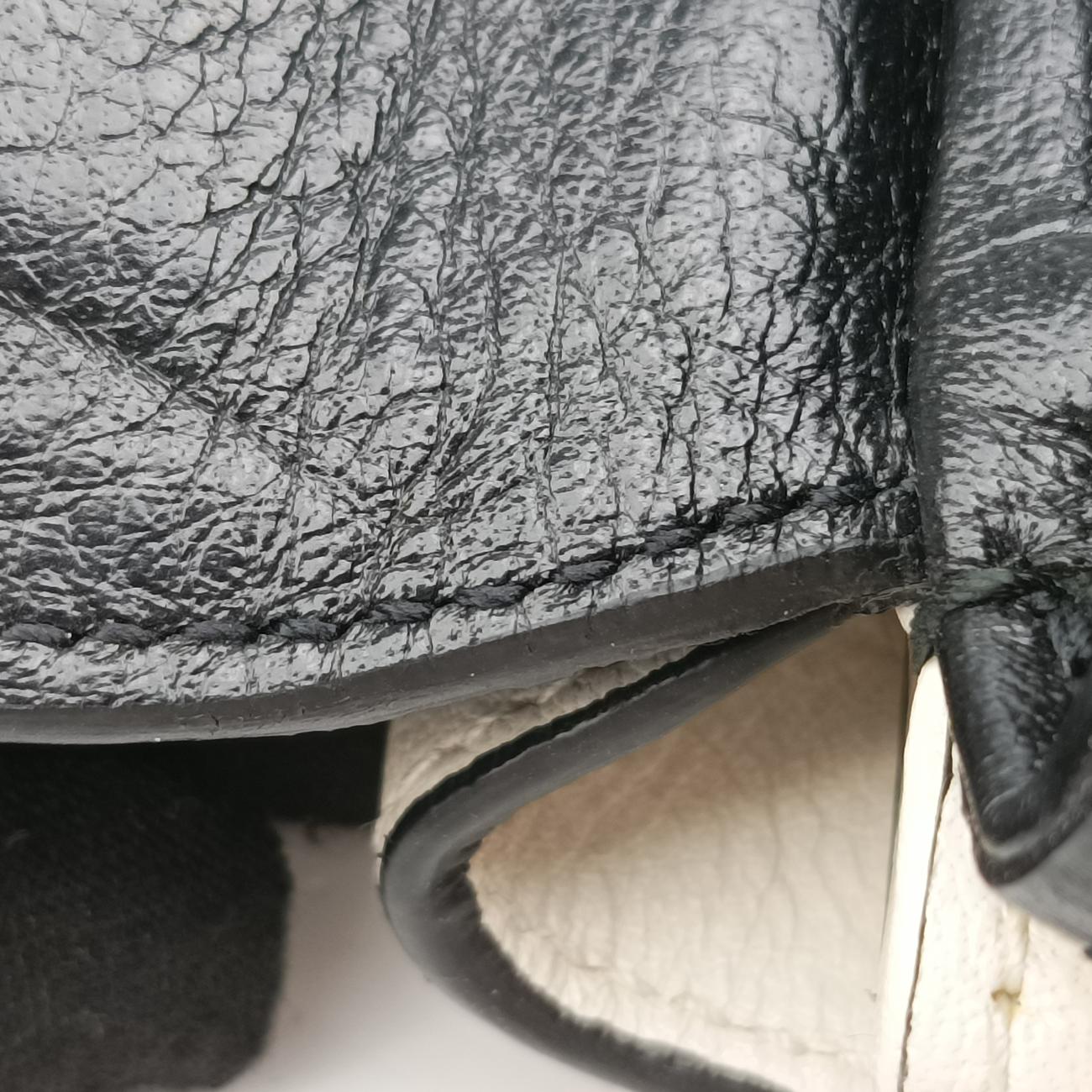 Thiara MediumMulticolourLeather524822D025661108ティアラ ミディアムマルチカラーレザー524822D025661108