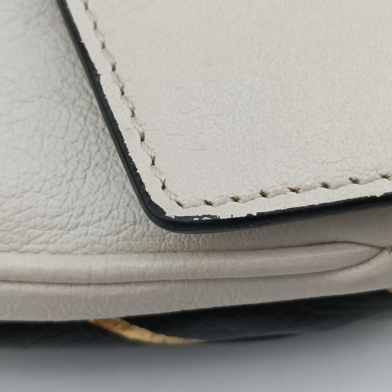 Thiara MediumMulticolourLeather524822D025661108ティアラ ミディアムマルチカラーレザー524822D025661108