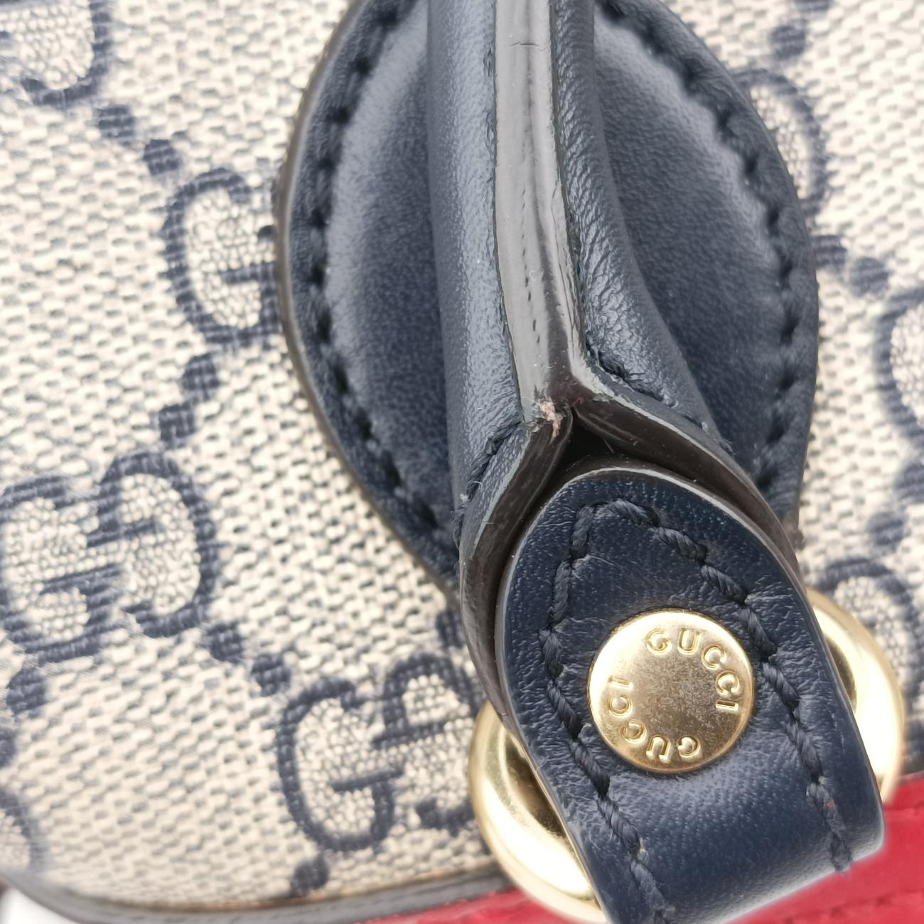 GG BloomsMulticolourPVC coated canvas432123C019792430GGブルームスマルチカラーPVCコーティングキャンバス432123C019792430