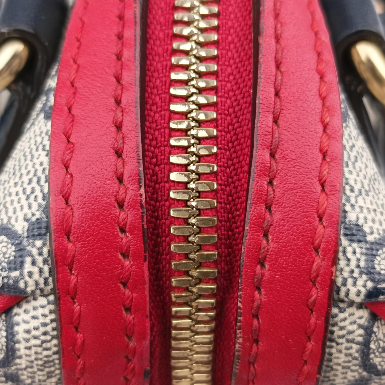 GG BloomsMulticolourPVC coated canvas432123C019792430GGブルームスマルチカラーPVCコーティングキャンバス432123C019792430