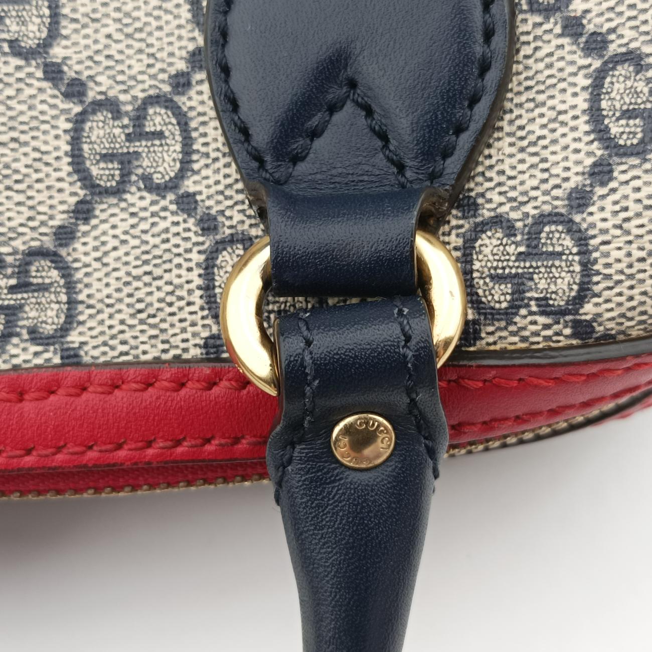 GG BloomsMulticolourPVC coated canvas432123C019792430GGブルームスマルチカラーPVCコーティングキャンバス432123C019792430