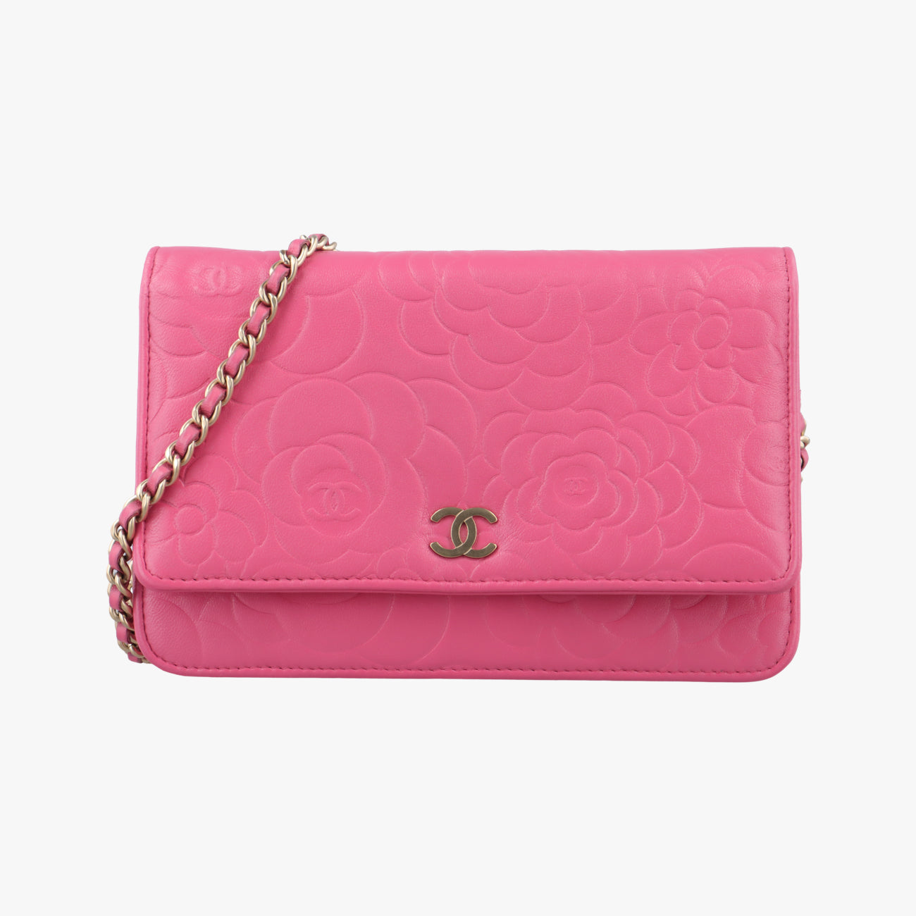 camelliaPinklambskinA4742118601883カメリアピンクラムスキンA4742118601883