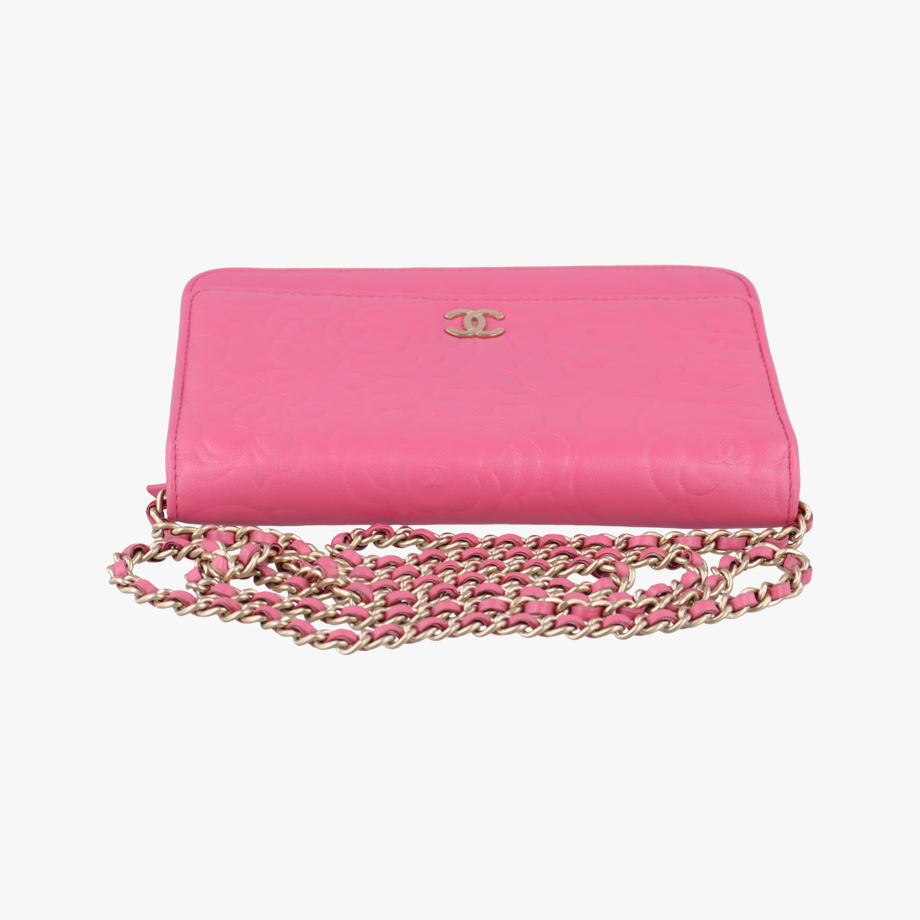 camelliaPinklambskinA4742118601883カメリアピンクラムスキンA4742118601883