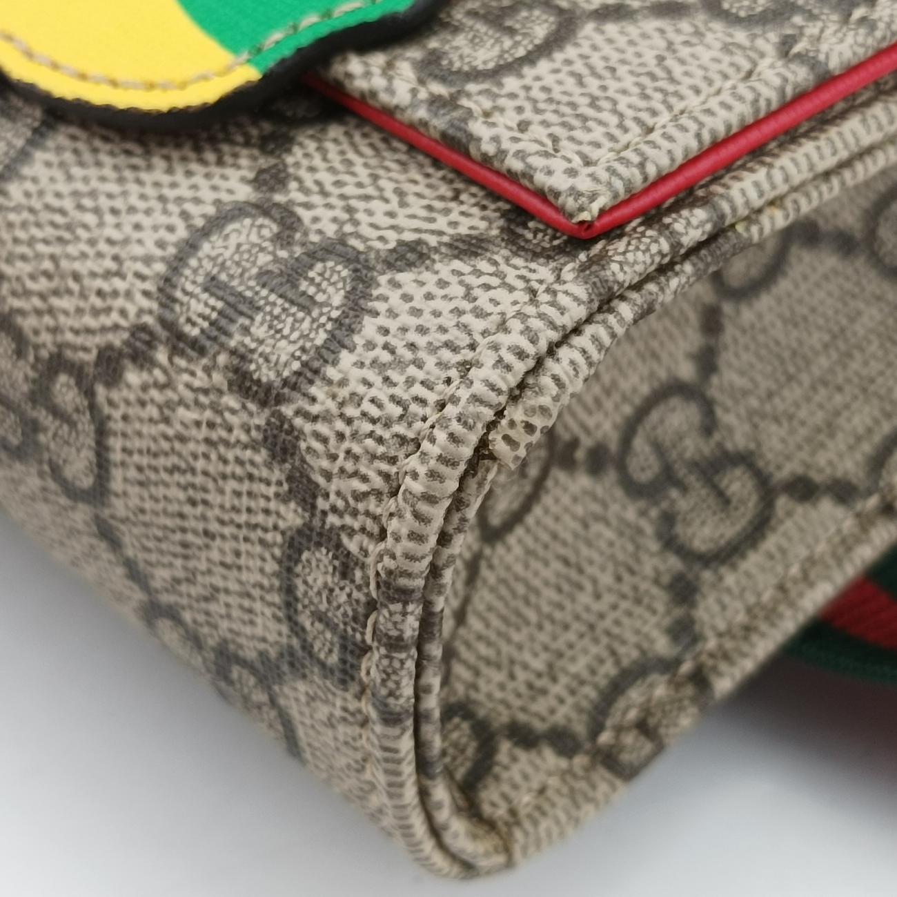 Rainbow ButterflyMulticolourPVC coated canvasF028939443レインボーバタフライマルチカラーPVCコーティングキャンバス552526F028939443