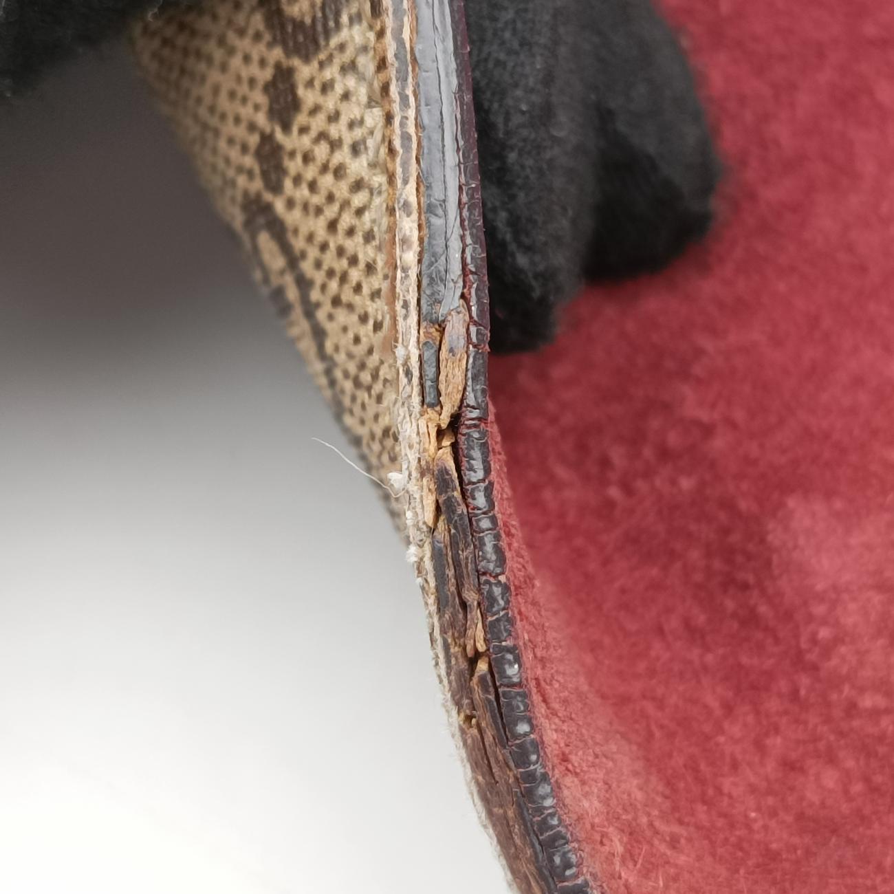 DionysusMulticolourPVC coated canvas400249C020527897ディオニュソスマルチカラーPVCコーティングキャンバス400249C020527897