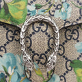 DionysusMulticolourPVC coated canvas401231ディオニュソスマルチカラーPVCコーティングキャンバス401231