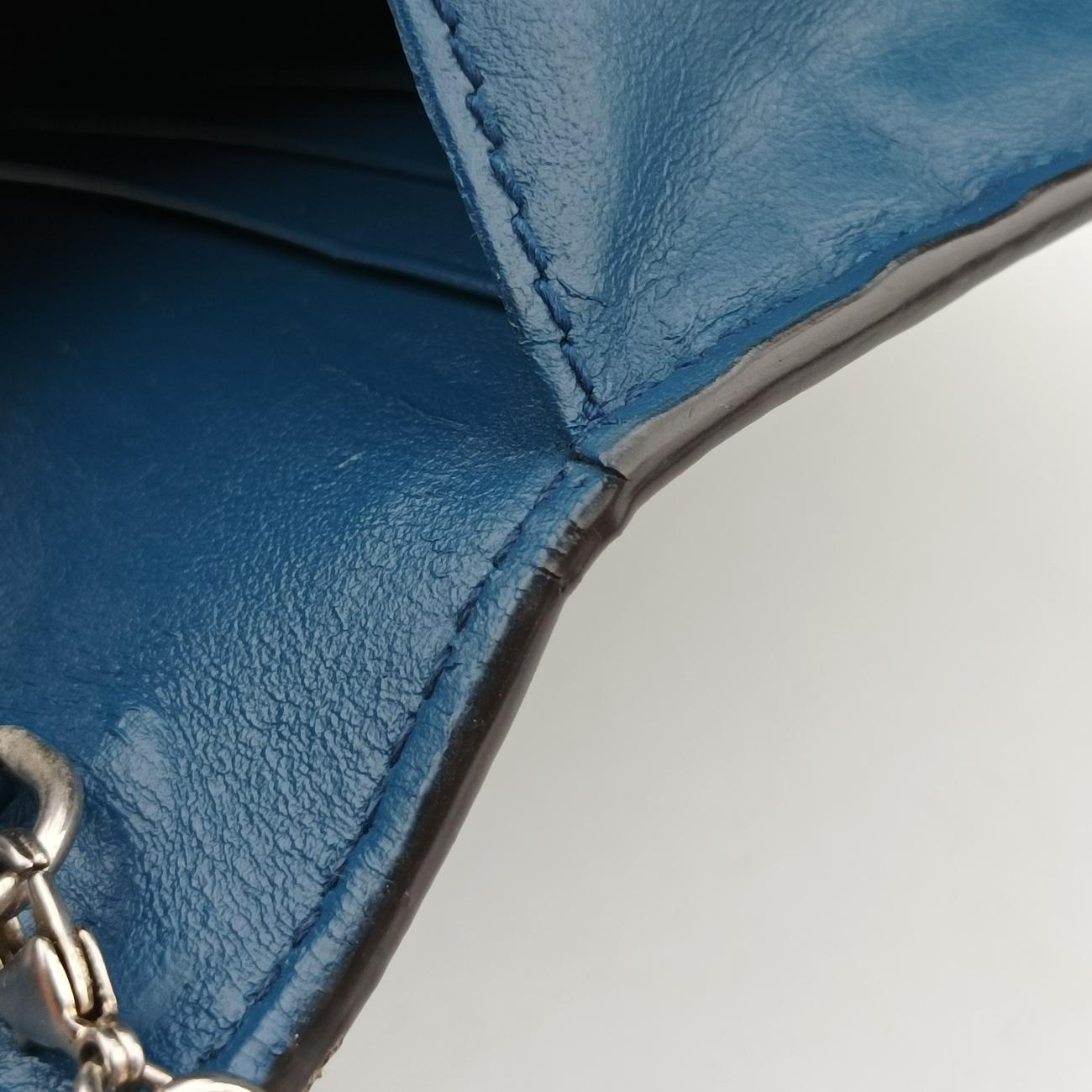 DionysusMulticolourPVC coated canvas401231ディオニュソスマルチカラーPVCコーティングキャンバス401231