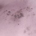 DioramaPinkPatent13-BO-0128ディオラマピンクパテント13-BO-0128