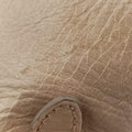 Vitello Shine Shopping ToteBeigeLeatherBL0821208 58/Nヴィテッロ シャイン ショッピングトートベージュレザーBL0821208 58/N