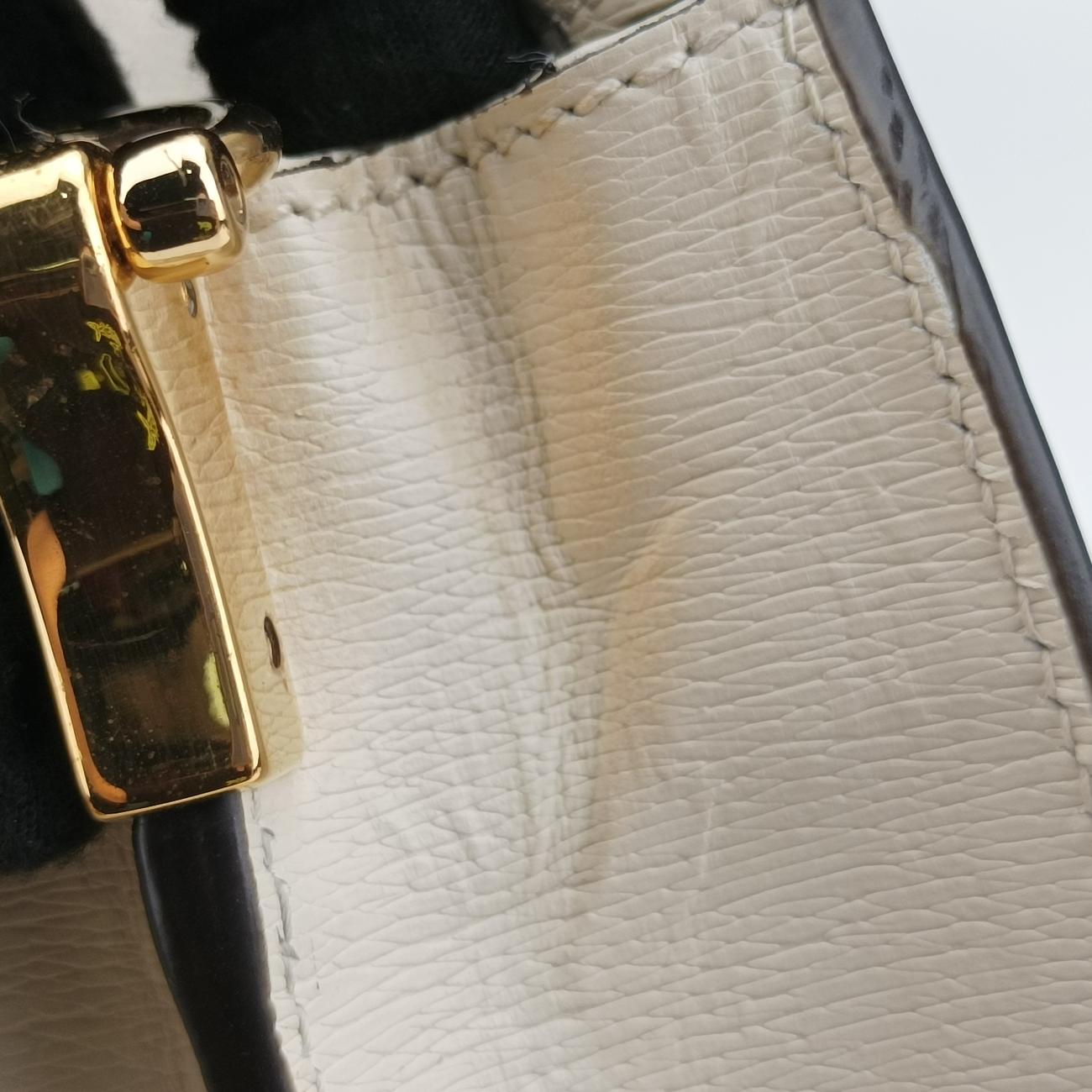 OphidiaMulticolourLeather503877H024692683オフィディアマルチカラーレザー503877H024692683