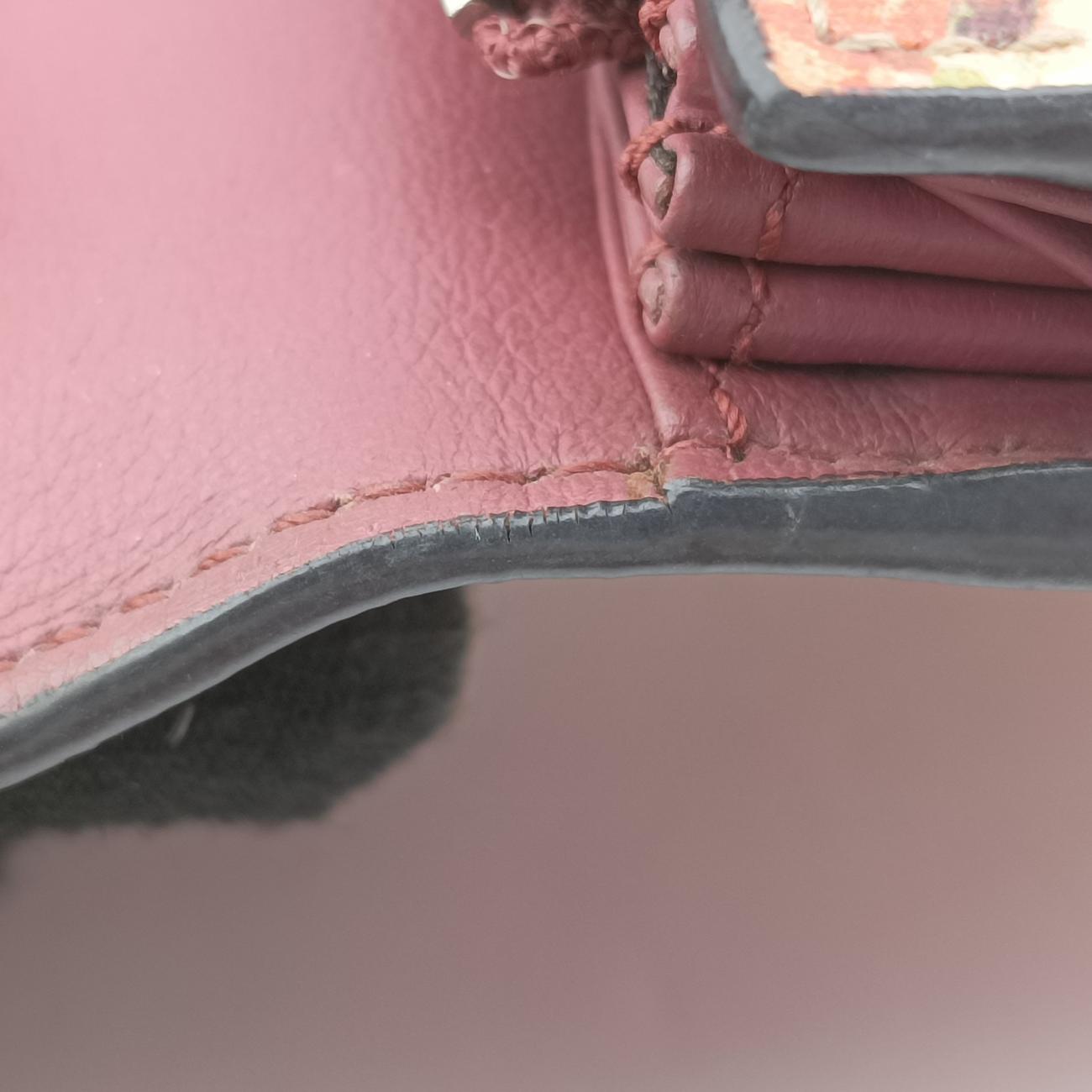 DionysusMulticolourPVC coated canvas401231ディオニュソスマルチカラーPVCコーティングキャンバス401231