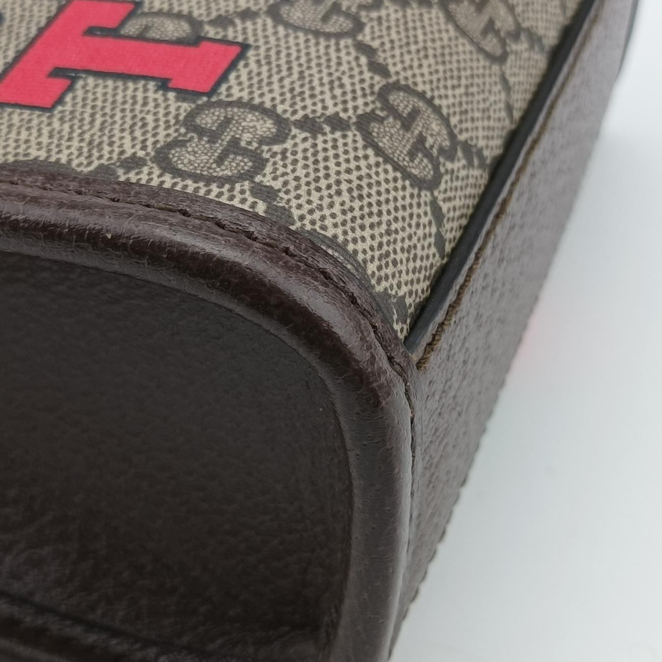 Interlocking G Tiger MiniMulticolourCanvas671623H036858671インターロッキングGマルチカラーキャンバス671623H036858671