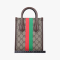 Interlocking G Tiger MiniMulticolourCanvas671623H036858671インターロッキングGマルチカラーキャンバス671623H036858671