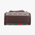 Interlocking G Tiger MiniMulticolourCanvas671623H036858671インターロッキングGマルチカラーキャンバス671623H036858671